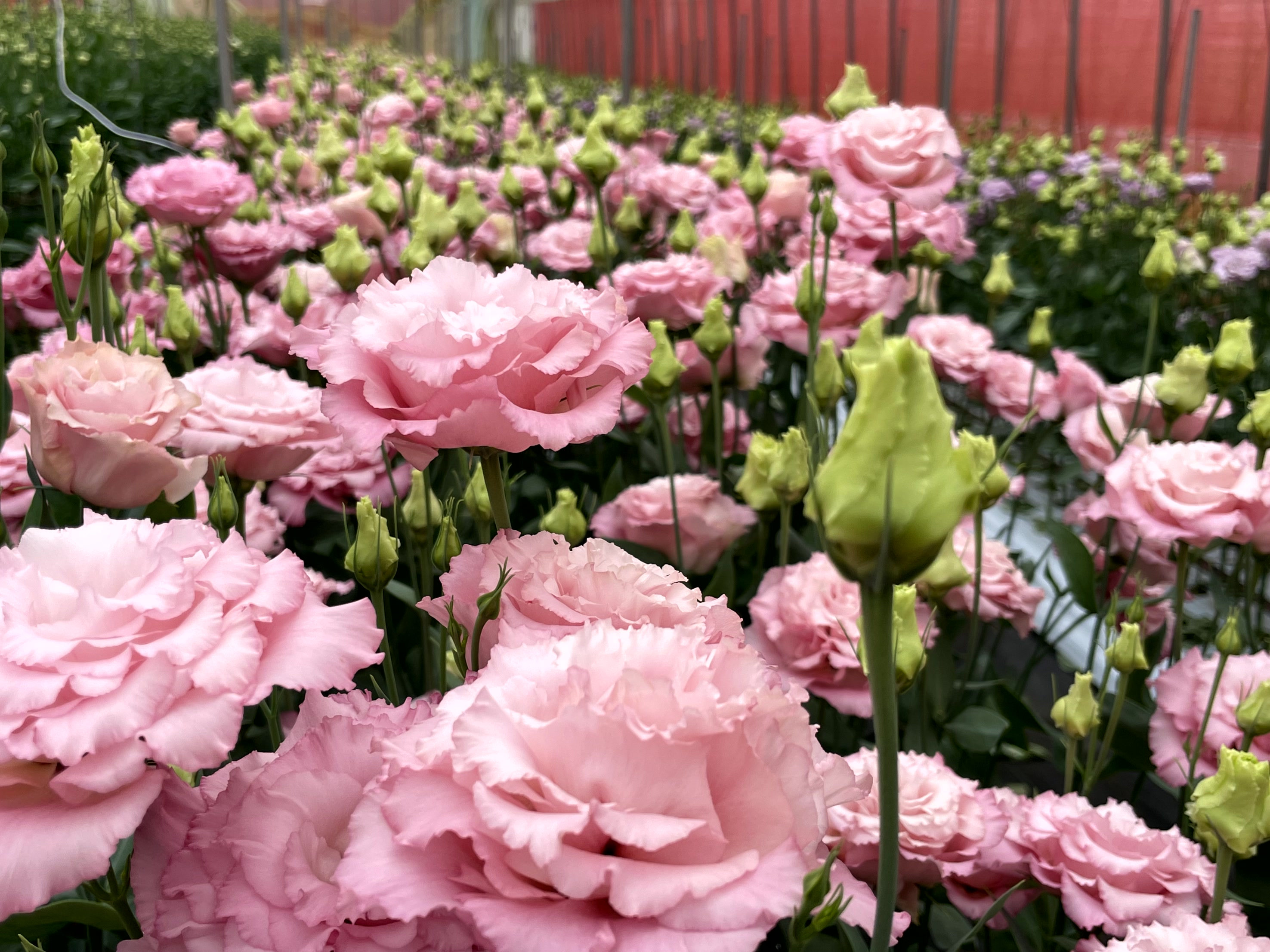 Location - 浪江の地から、新しい色を