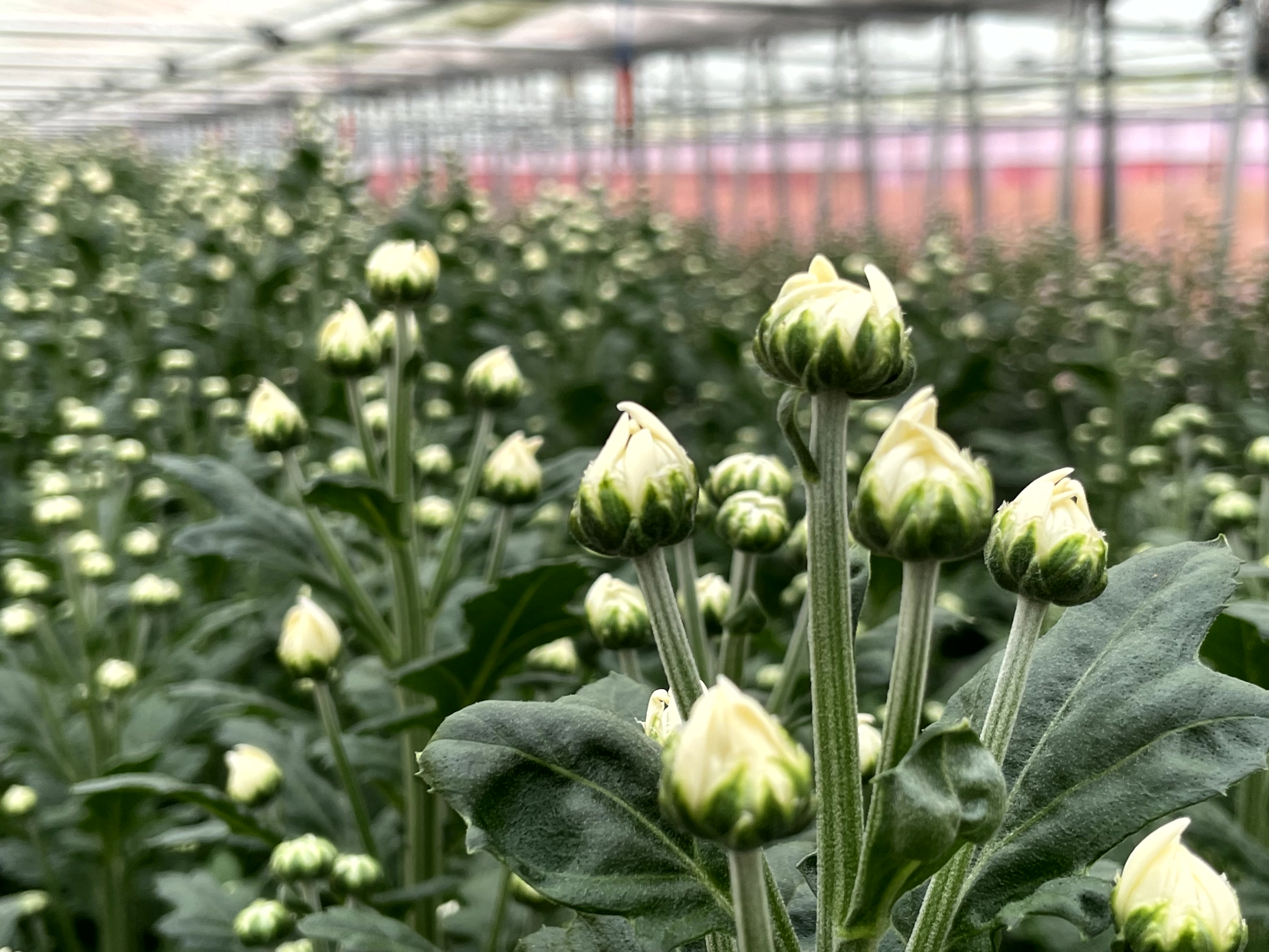 Dialogue with Customers